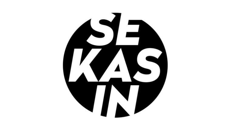 Sekasin-chat logo